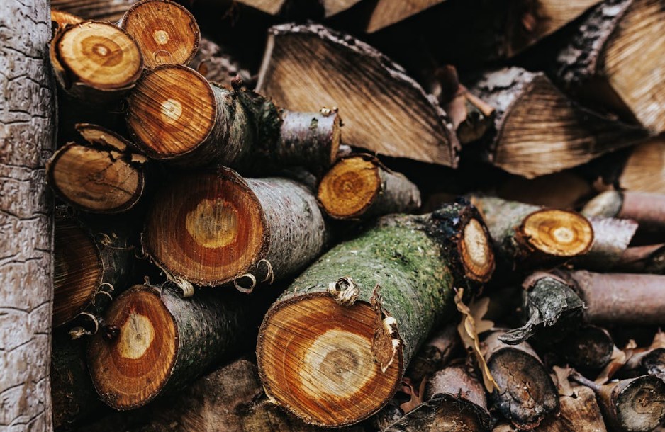 Arthorious Storva de Grecia se corona en el desafiante Mundial de Saltos Sobre Troncos Campo a Través